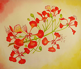 位圖 植物 寫意花卉 花朵 免費素材