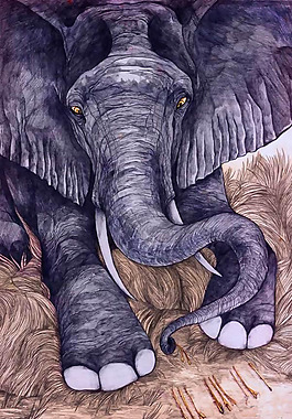 位圖 插畫 時尚插畫 動物插畫 藝術(shù)效果 免費素材