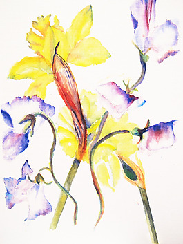 位圖 植物 寫意花卉 花朵 免費素材