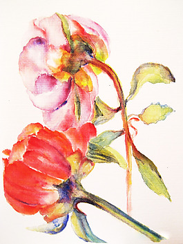 位圖 植物 寫意花卉 花朵 免費(fèi)素材