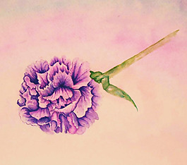 位圖 植物 寫意花卉 花朵 免費素材