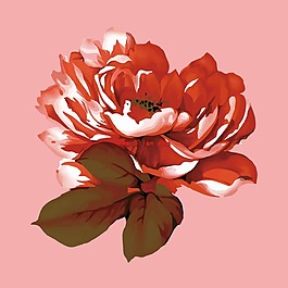 印花矢量圖 T恤圖案 植物 花朵 色彩 免費素材