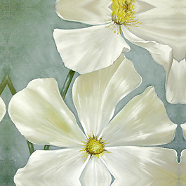位圖 插畫(huà) 時(shí)尚插畫(huà) 植物插畫(huà) 藝術(shù)效果 免費(fèi)素材