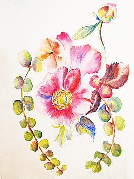 位圖 植物 寫意花卉 花朵 免費(fèi)素材