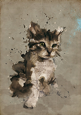 位圖 插畫 時尚插畫 動物插畫 插畫師 免費素材