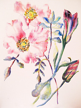 位圖 植物 寫意花卉 花朵 免費(fèi)素材
