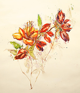 位圖 植物 寫意花卉 花朵 免費素材