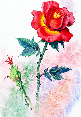 位圖 植物 寫意花卉 花朵 免費素材