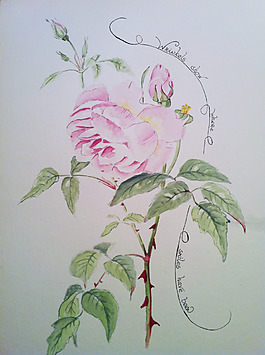 位圖 植物 寫意花卉 花朵 免費素材