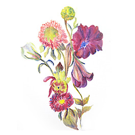 位圖 植物 寫意花卉 花朵 免費(fèi)素材