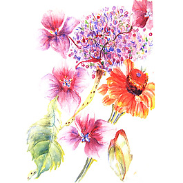 位圖 植物 寫意花卉 花朵 免費素材