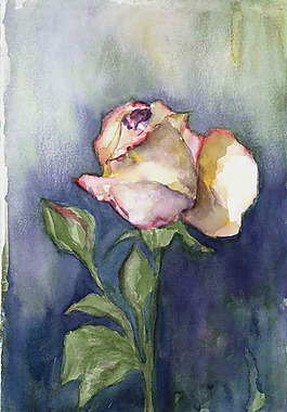 位圖 植物 寫意花卉 花朵 玫瑰 免費素材