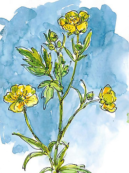 位圖 植物 寫(xiě)意花卉 花朵 免費(fèi)素材