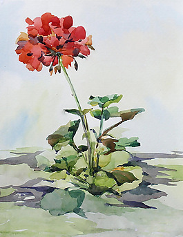 位圖 植物 寫意花卉 花朵 免費素材