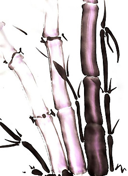 位圖 插畫 時尚插畫 藝術(shù)效果 手繪 免費素材