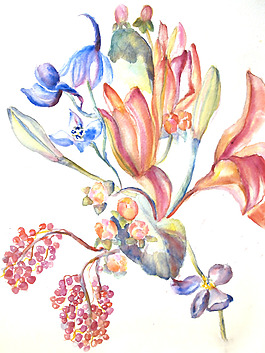 位圖 植物 寫意花卉 花朵 免費(fèi)素材