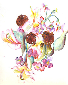 位圖 植物 寫意花卉 花朵 免費素材
