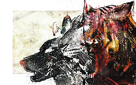 位圖 插畫 時(shí)尚插畫 動(dòng)物插畫 插畫師 免費(fèi)素材