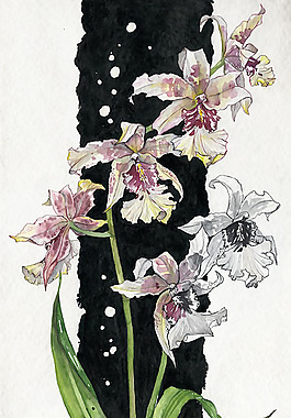 位圖 植物 寫意花卉 花朵 免費素材