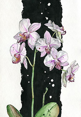 位圖 植物 寫意花卉 花朵 免費(fèi)素材