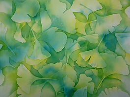 位圖 植物 寫意花卉 花朵 免費素材