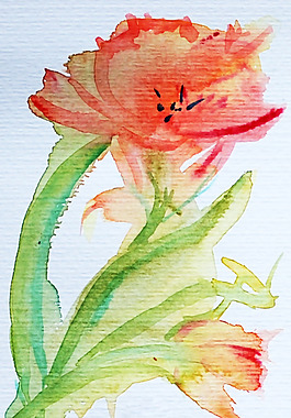 位圖 植物 寫(xiě)意花卉 花朵 免費(fèi)素材