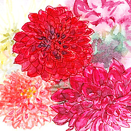 位圖 植物 寫(xiě)意花卉 花朵 免費(fèi)素材