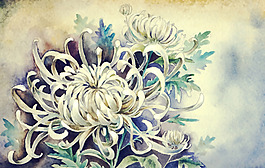 位圖 插畫 時尚插畫 植物插畫 插畫師 免費素材