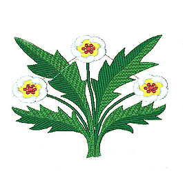 繡花 植物 花朵 免費素材