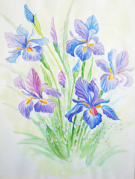 位圖 植物 寫意花卉 花朵 免費素材