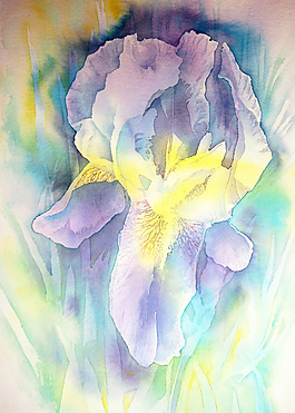 位圖 植物 寫意花卉 花朵 免費(fèi)素材