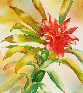 位圖 植物 寫意花卉 花朵 免費(fèi)素材