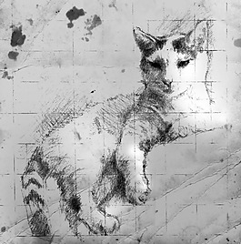 位圖 插畫 時尚插畫 動物插畫 插畫師 免費(fèi)素材