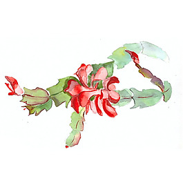 位圖 植物 寫意花卉 花朵 免費(fèi)素材
