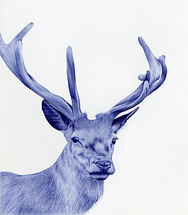 位圖 插畫 時尚插畫 動物插畫 插畫師 免費素材