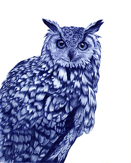 位圖 插畫 時尚插畫 動物插畫 插畫師 免費素材