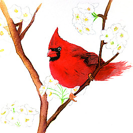 位圖 插畫 時(shí)尚插畫 動(dòng)物插畫 插畫師 免費(fèi)素材
