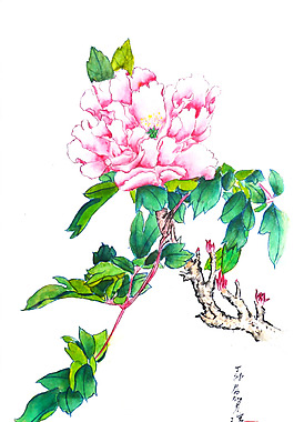 位圖 植物 寫意花卉 花朵 免費(fèi)素材