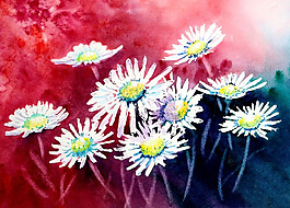 位圖 植物 寫(xiě)意花卉 花朵 菊花 免費(fèi)素材