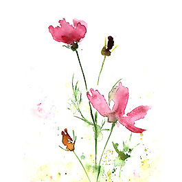 位圖 植物 寫意花卉 花朵 免費素材