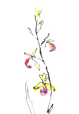 位圖 植物 寫意花卉 花朵 免費(fèi)素材