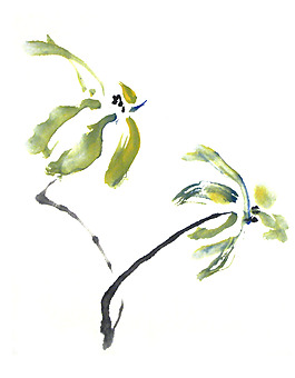 位圖 植物 寫意花卉 花朵 免費素材