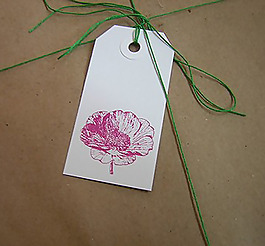 吊牌 植物 花朵 免費(fèi)素材