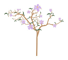 花的分支
