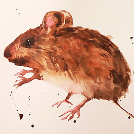 位圖 插畫(huà) 時(shí)尚插畫(huà) 動(dòng)物插畫(huà) 藝術(shù)效果 免費(fèi)素材
