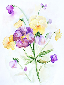 位圖 植物 寫意花卉 花朵 免費(fèi)素材