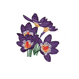 繡花 植物 花朵 免費(fèi)素材