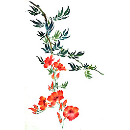 位圖 植物 寫(xiě)意花卉 花朵 免費(fèi)素材