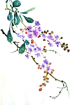 位圖 植物 寫意花卉 花朵 免費素材