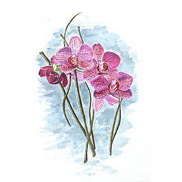 位圖 植物 寫意花卉 花朵 蘭花 免費(fèi)素材